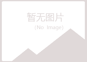 桃山区海露钢结构有限公司